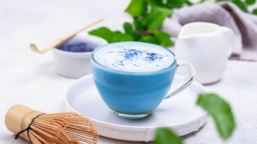 BlueMAJIK® Eggnog Recipes